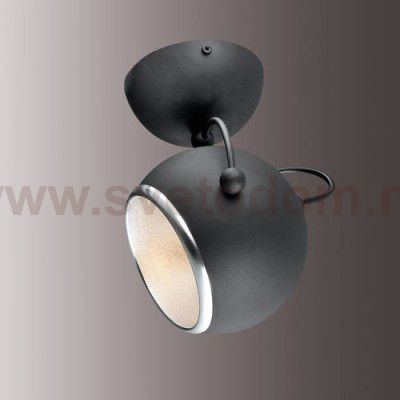 Светильник настенный бра Odeon light 2904/1W BULA