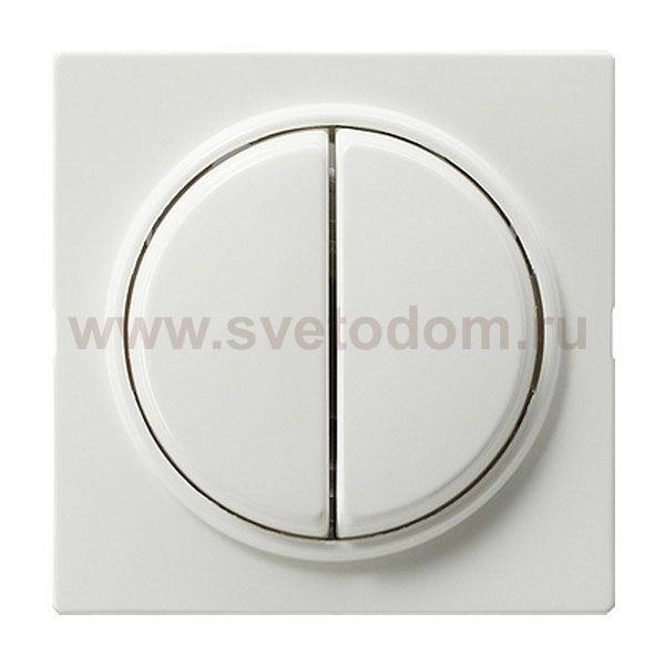 Gira S-Color Белый Клавиша 2-ая (G29540)