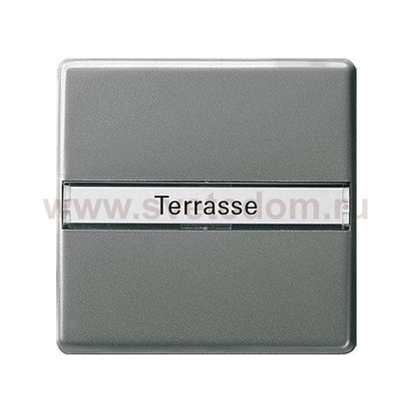 Gira E22 Сталь Клавиша 1-ая с полем для надписи (G29920)