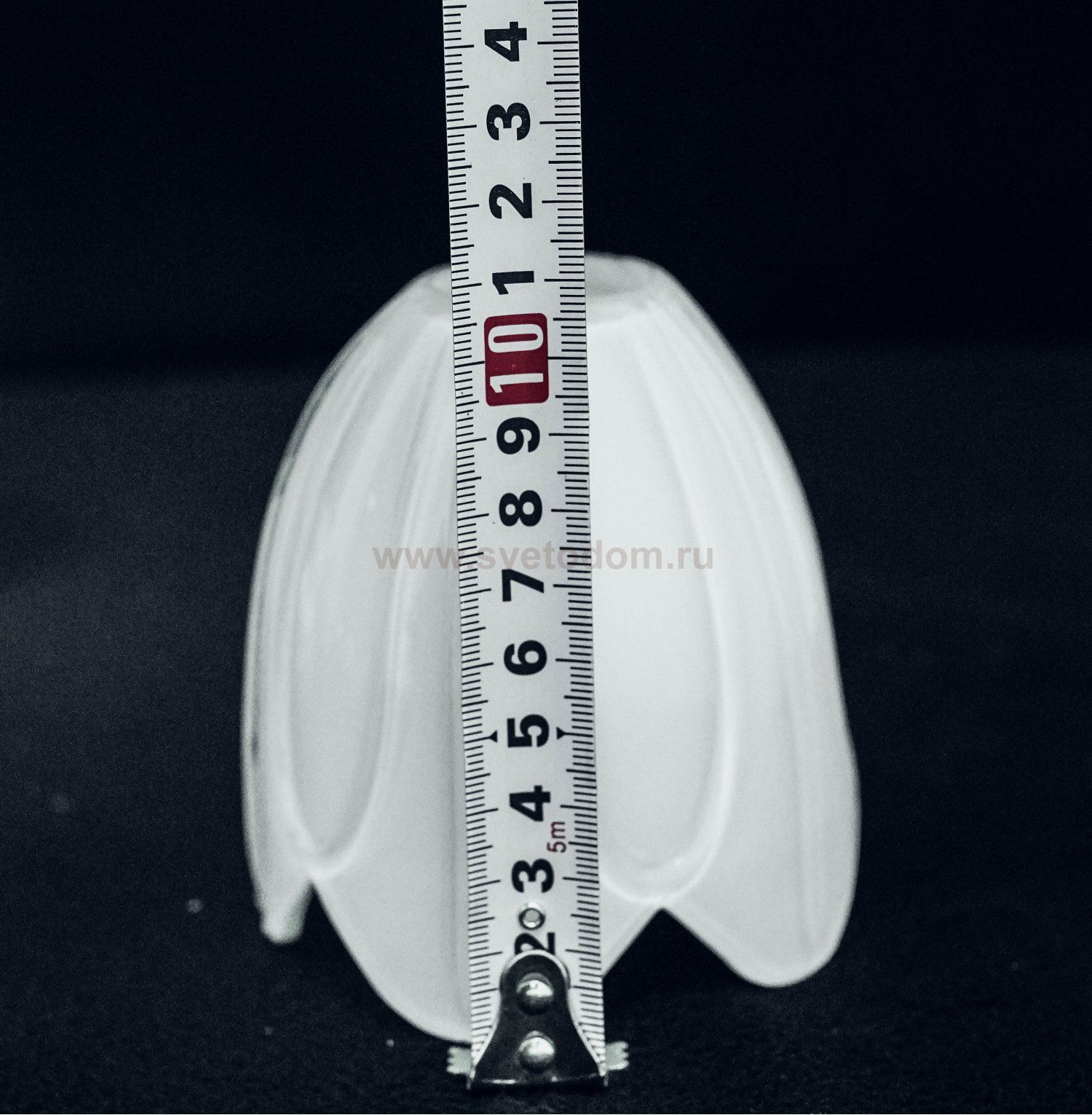 Люстра потолочная Lumion 3002/5C FLORANA