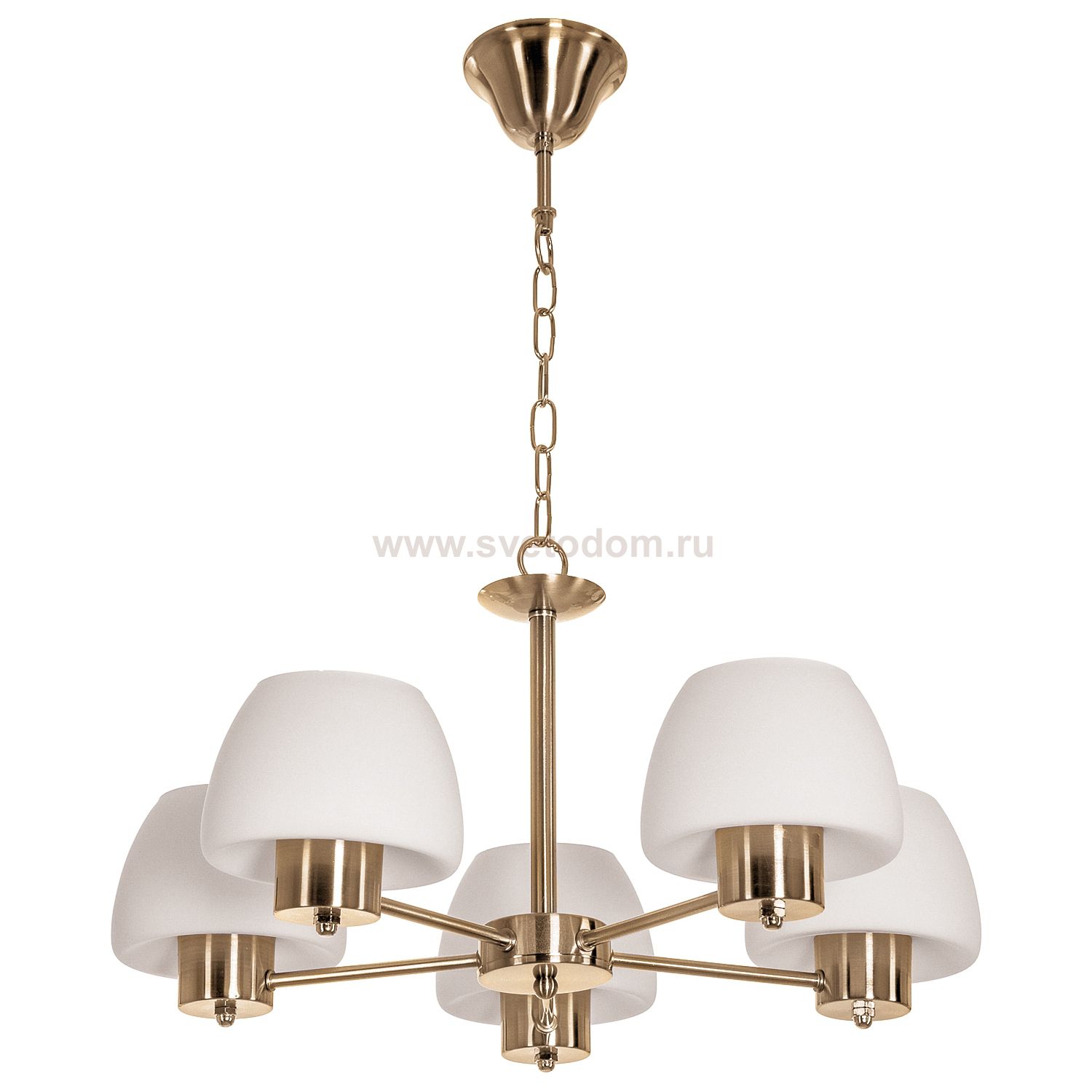 Люстра классическая Экономсвет 30093A/5SCH MK