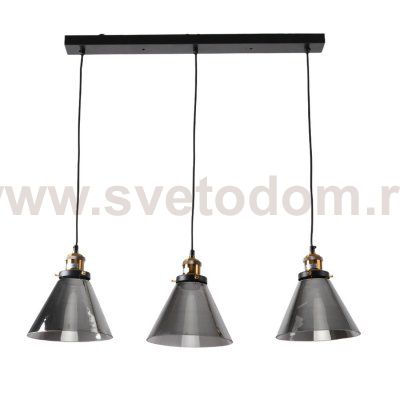 Экономсвет 30119/3BK+COP SM