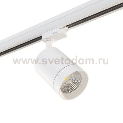 Светильник светодиодный для 3-фазного трека Lightstar 301562 Canno