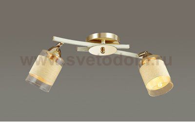 Люстра потолочная Lumion 3029/2CA FILLA