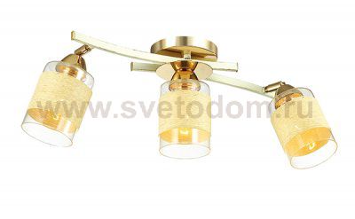 Люстра потолочная Lumion 3029/3CA FILLA