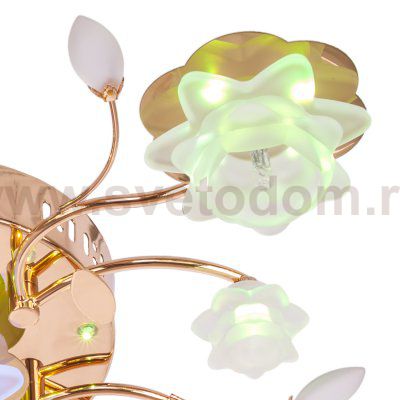 Светильник ЭкономСвет 3033/5+1FGD RC MIXLED