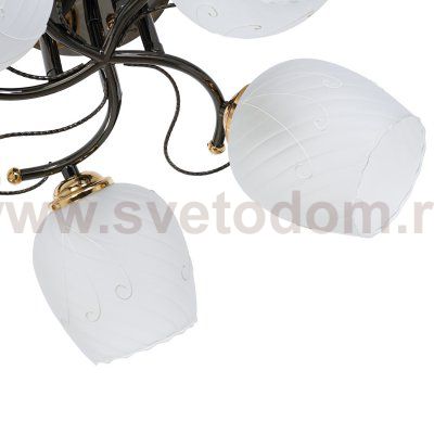 Светильник ЭкономСвет 30500/5SM BK