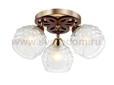 Люстра потолочная Lumion 3057/3C FEDERRO