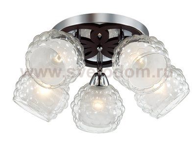 Люстра потолочная Lumion 3058/5C FEDERRO