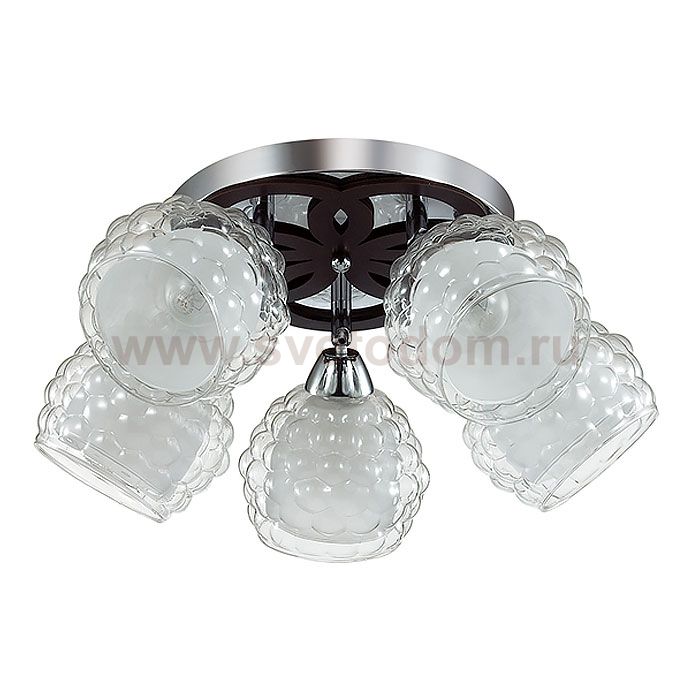 Люстра потолочная Lumion 3058/5C FEDERRO