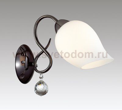 Светильник настенный бра Lumion 3076/1W RONDINA
