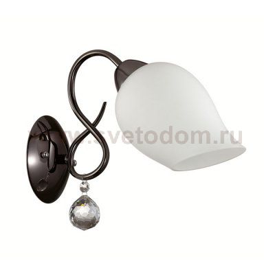 Светильник настенный бра Lumion 3076/1W RONDINA
