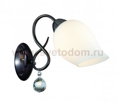 Светильник настенный бра Lumion 3076/1W RONDINA