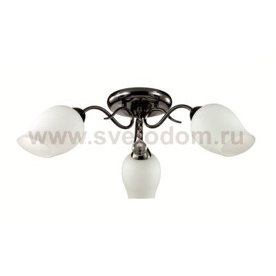 Люстра потолочная Lumion 3076/3C RONDINA
