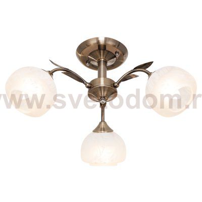 Потолочный светильник Экономсвет 31004/3AB WT