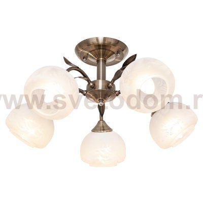 Потолочный светильник Экономсвет 31004/5AB WT