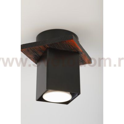 Светильник потолочный Rivoli Luise 3102-201 1 * GU10 50 Вт модерн