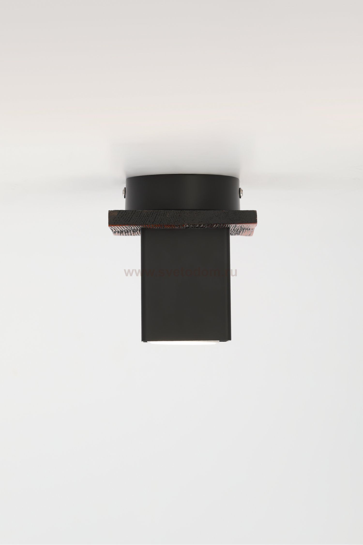 Светильник потолочный Rivoli Luise 3102-201 1 * GU10 50 Вт модерн