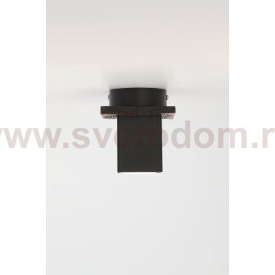 Светильник потолочный Rivoli Luise 3102-201 1 * GU10 50 Вт модерн