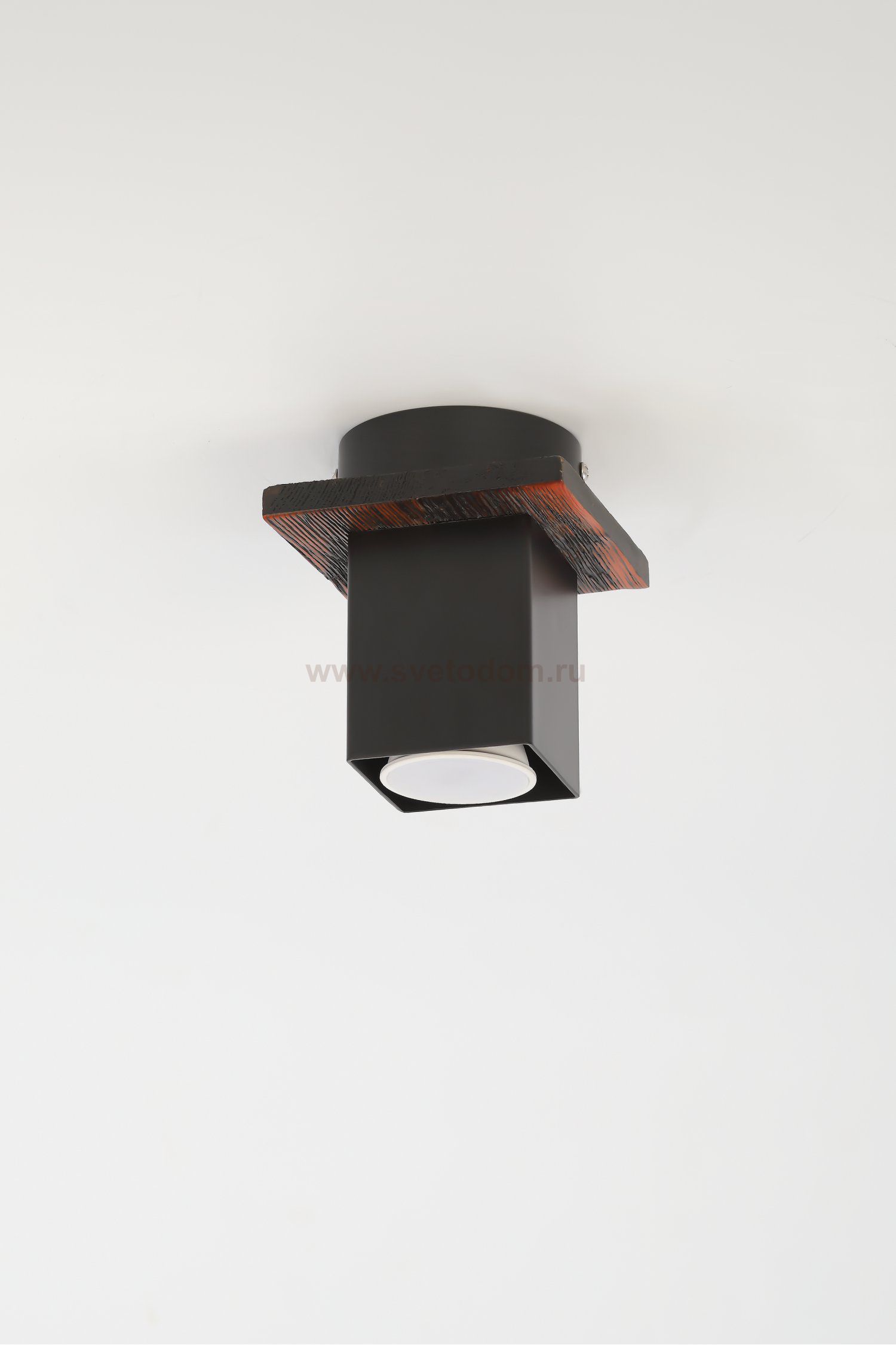 Светильник потолочный Rivoli Luise 3102-201 1 * GU10 50 Вт модерн