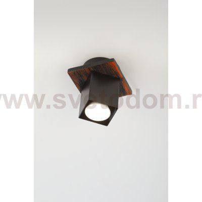 Светильник потолочный Rivoli Luise 3102-201 1 * GU10 50 Вт модерн