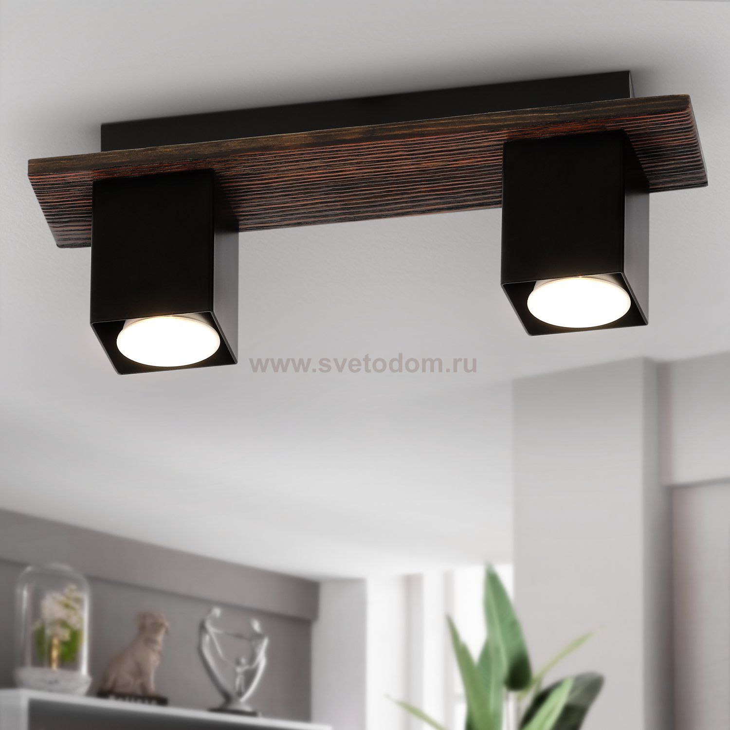 Светильник потолочный Rivoli Luise 3102-312 2 * GU10 50 Вт модерн