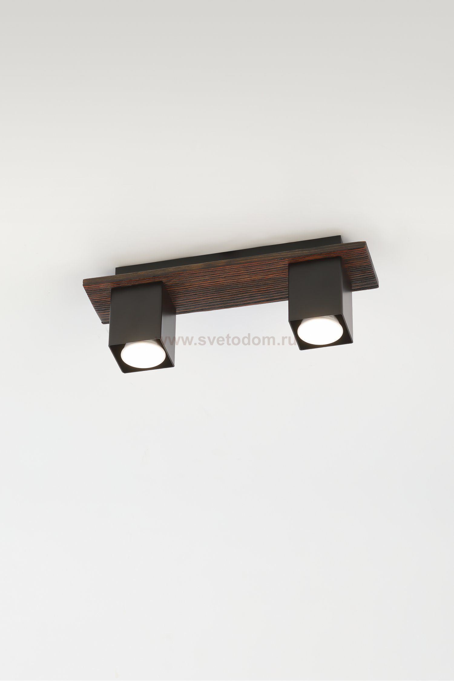 Светильник потолочный Rivoli Luise 3102-312 2 * GU10 50 Вт модерн