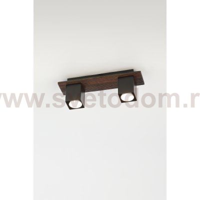 Светильник потолочный Rivoli Luise 3102-312 2 * GU10 50 Вт модерн