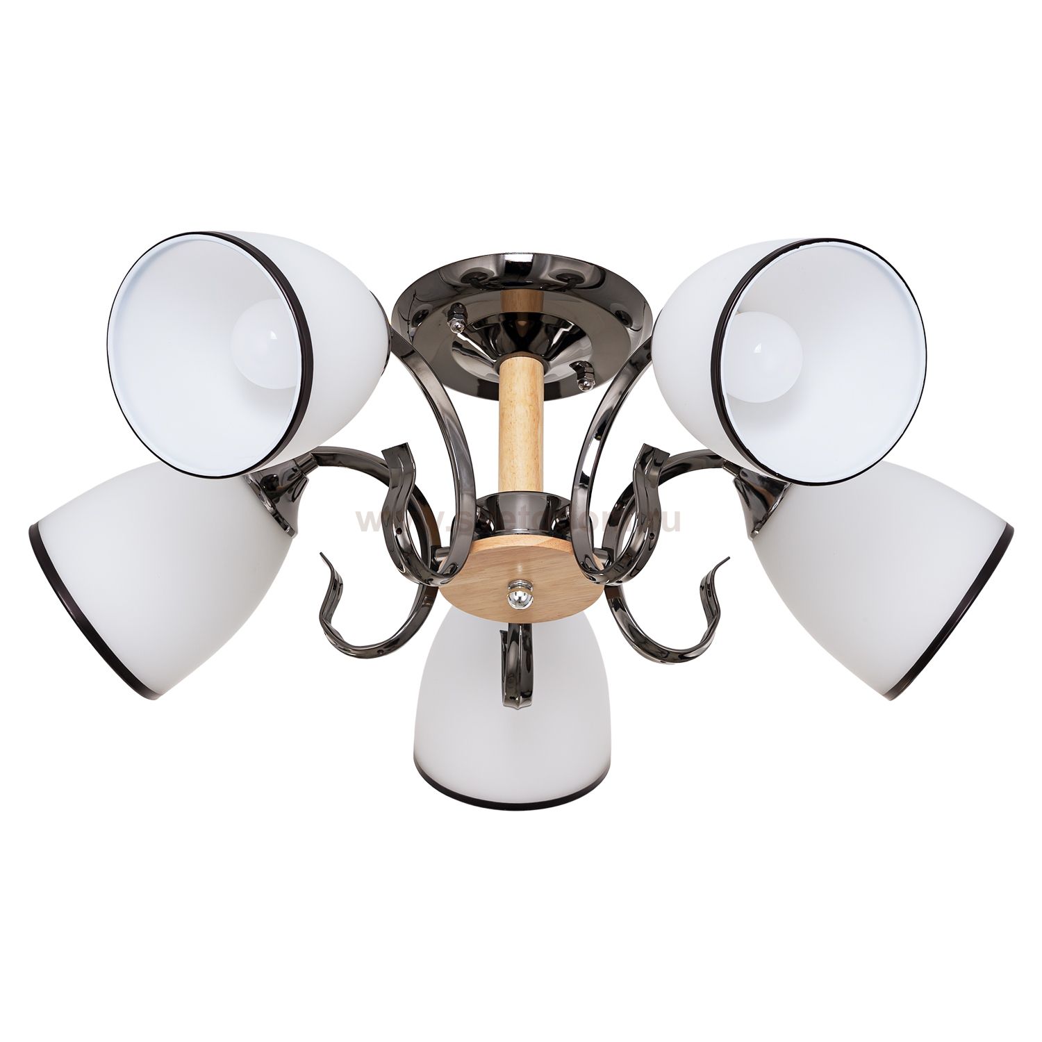 Потолочный светильник Экономсвет 31021/5ZZH+BR WT