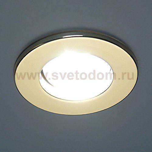 Светильник Elektrostandard 3224B R50 GD золото