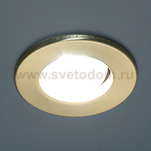 Светильник Elektrostandard 3224B R63 GD M золото матовое