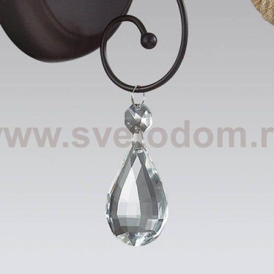 Светильник настенный бра Odeon light 3259/1W HORTE