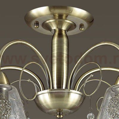 Люстра потолочная Lumion 3289/5C HORTENSA