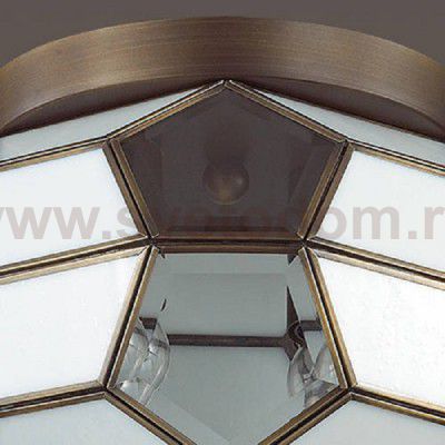 Светильник Odeon light 3295/2C