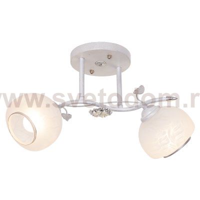 Потолочный светильник Экономсвет 3307/2SL WT+SL