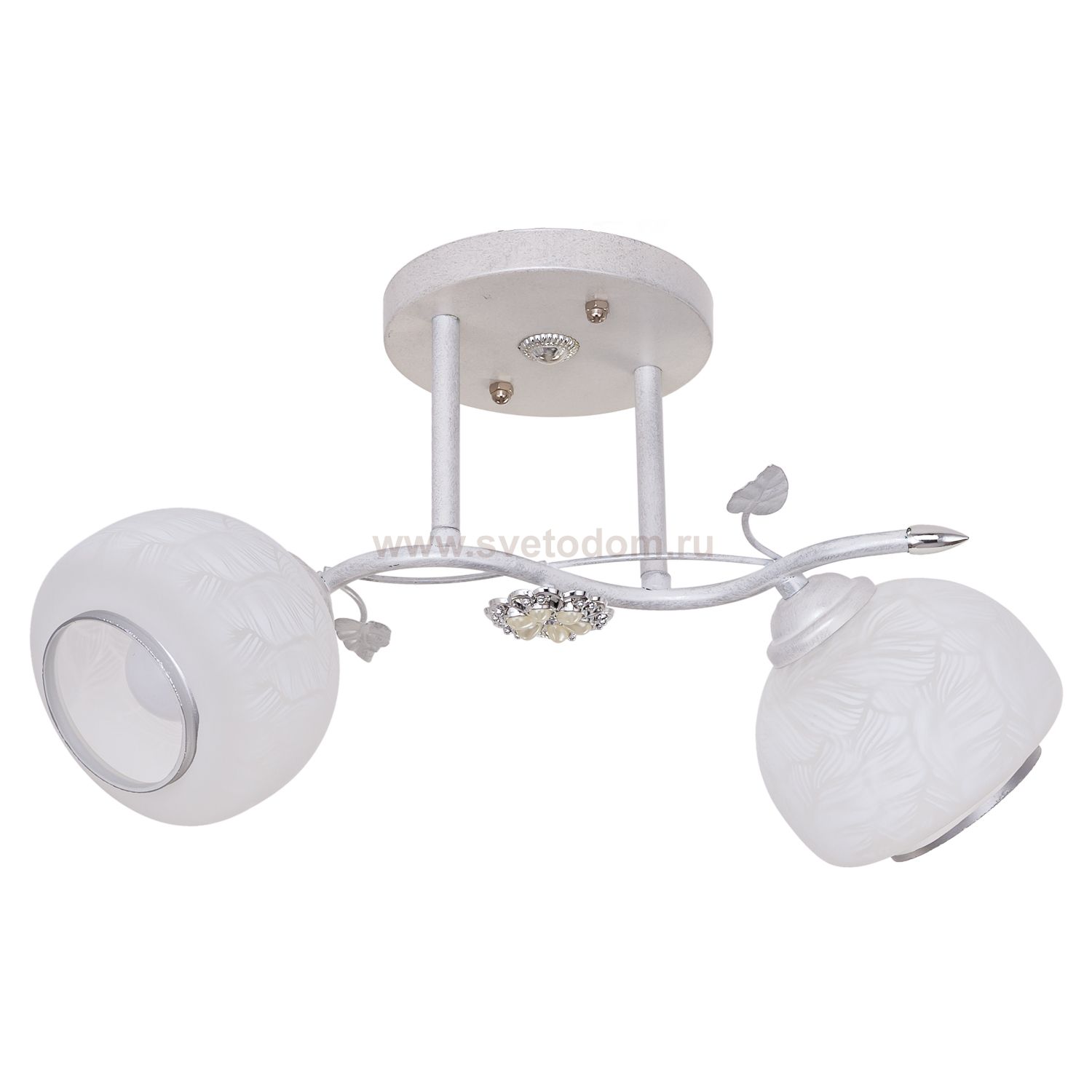 Потолочный светильник Экономсвет 3307/2SL WT+SL