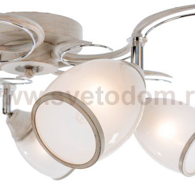 Светильник ЭкономСвет 33178/5WT+CR WT