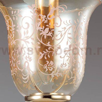 Светильник настенный бра Lumion 3459/1W LEONIDAS