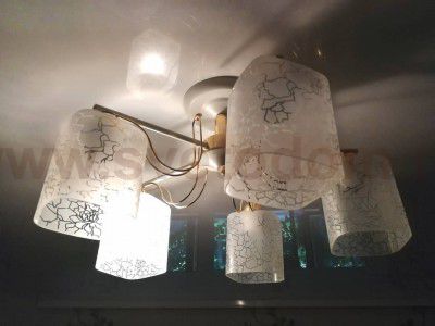 Люстра потолочная Lumion 3508/5C OPICUS