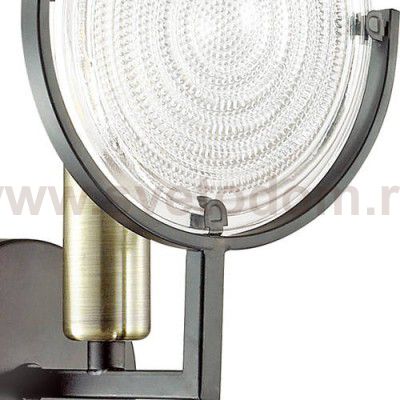 Светильник настенный бра Lumion 3510/1W LUNAPIENA