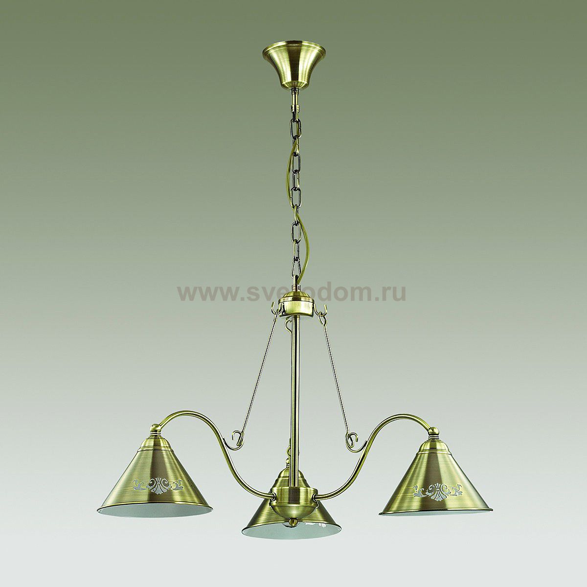 Люстра Lumion 3517/3 ANAKANA