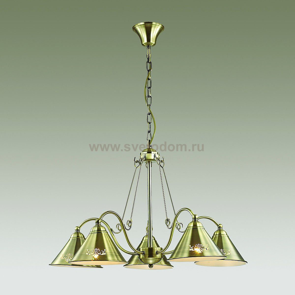 Люстра Lumion 3517/5 ANAKANA