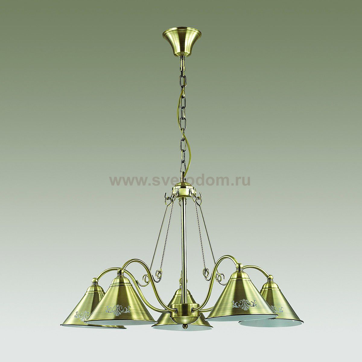 Люстра Lumion 3517/5 ANAKANA