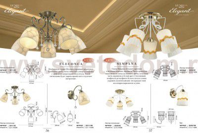 Светильник настенный бра Lumion 3529/1W SIMPANA