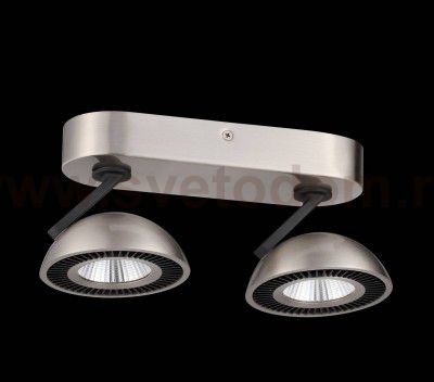 Потолочный светильник Odeon light 3535/2CL KARIMA