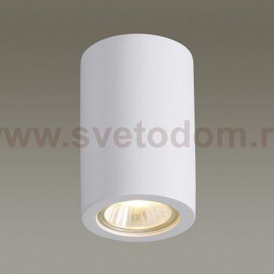 Потолочный накладной светильник Odeon light 3553/1C GIPS