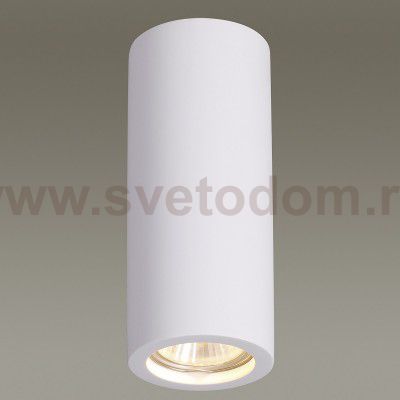 Потолочный накладной светильник Odeon light 3554/1C GIPS