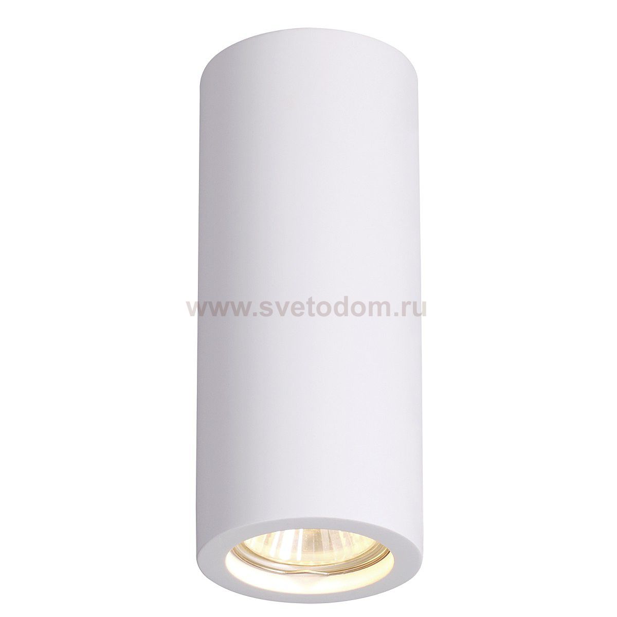 Потолочный накладной светильник Odeon light 3554/1C GIPS