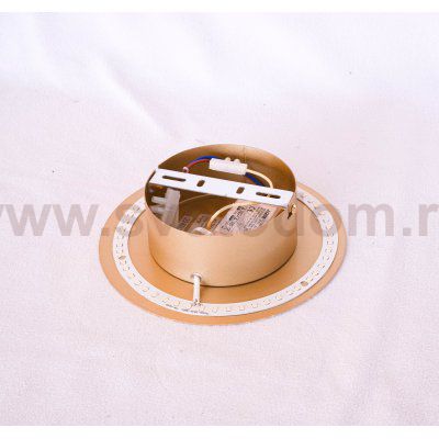 Настенный светильник Odeon light 3561/9WL SOLARIO