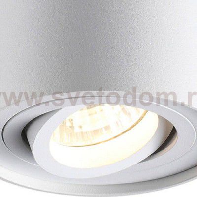 Потолочный накладной светильник Odeon light 3564/1C PILLARON